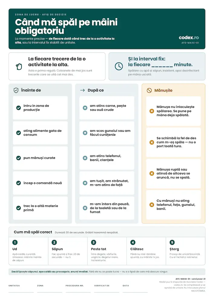 Nu mai explica tehnica, fixează momentele: Când este OBLIGATORIE spălarea mâinilor în bucătărie?