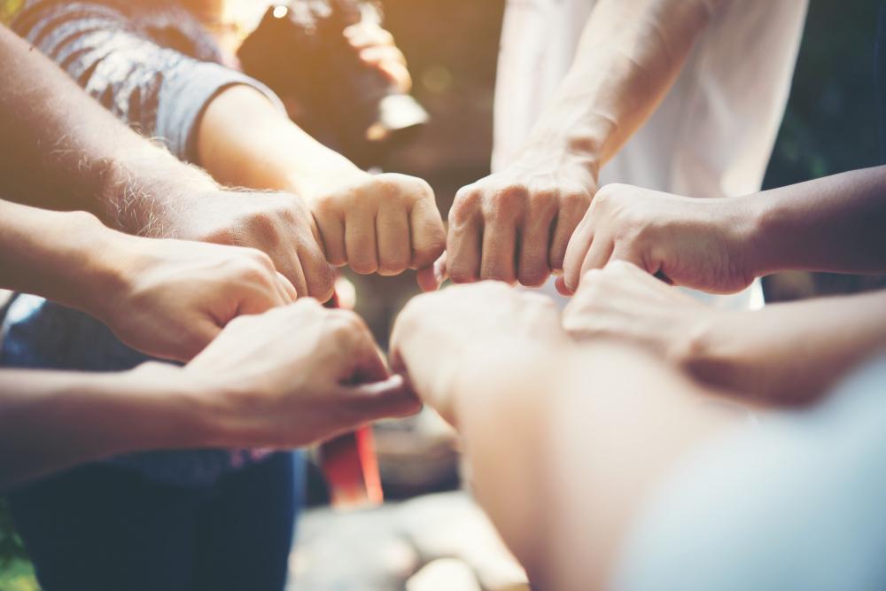 O Nouă Structură de Abonamente pe Codex.ro: Mai Simplu, Mai Accesibil pentru Comunitatea Noastră
