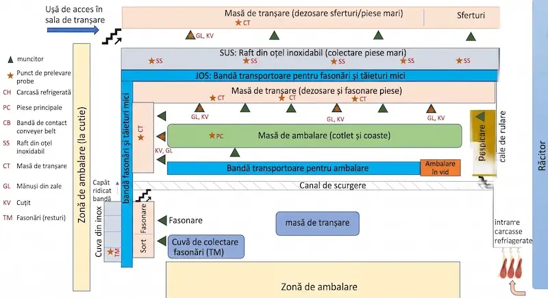 Aceleași echipamente, rezultate diferite la vită și porc. Ce arată un studiu despre verificarea igienei în sala de tranșare